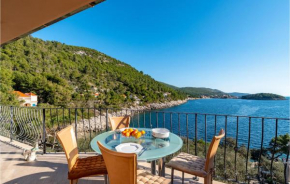Cozy Apartment In Prizba With House Sea View